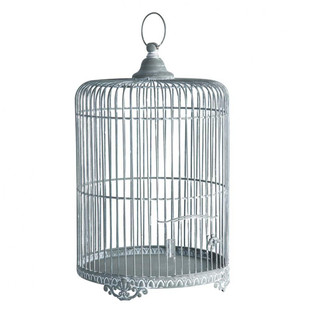 Cage Oiseau