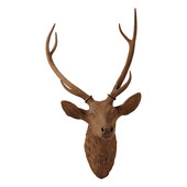 Daguet stag’s head