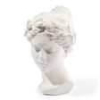 Busto Venere