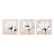 Kit 3 toiles Fleurs poétiques
