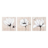 Set of 3 poetry Flower canvases