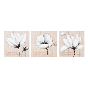 Juego de 3 lienzos Flores poéticas