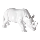 Kwamba white rhino