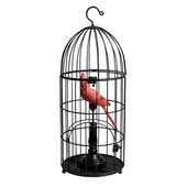 Collector parrot cage