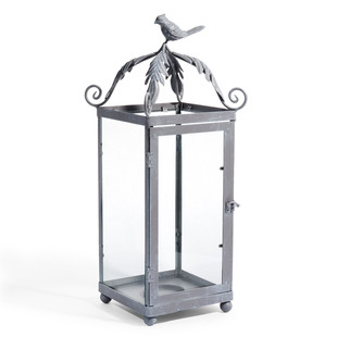 Lanterne Oiseau patine grise