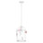 Birdcage electric pendant lamp
