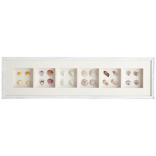 Horizontal sea curiosities showcase