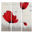 Bild wilder Mohn