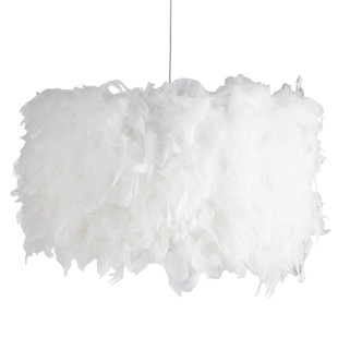 Suspension Plumes