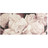 Toile Roseraie