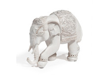 Indischer Elefant Gelassenheit