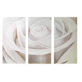 Rosebud Canvas Print Triptych