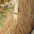 Banquette 2-3 places Dordogne