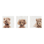Set of 3 canvases of playful Teddy Bear