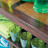 Bar  Bamboo