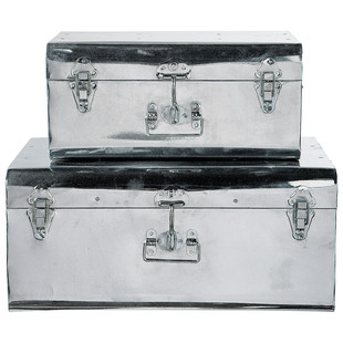 Set of 2 chrome trunks
