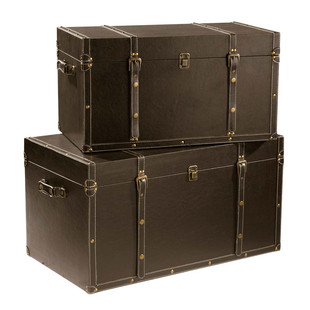 Set of 2 Buffalo Trunks