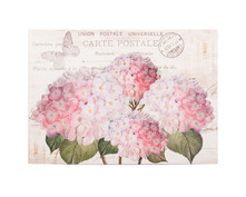 Odile hydrangea canvas