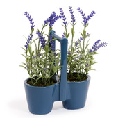 Lavender in double ceramic pot