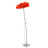 Orange Daisy on stem