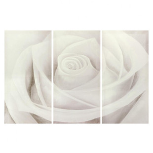Triptyque Rose blanche