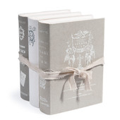 Bücherbox Aristo grau