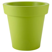 Groene Calypso pot