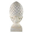 Witte dennenappel