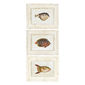 Ensemble de 3 cadres Nautilus
