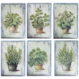 Ensemble de 6 tableaux Aromates