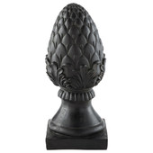 Agathis black pine cone