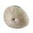 Fossil vase