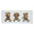 Bild Teddy
