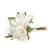 Bouquet Amaryllis glacée