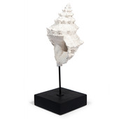 Statuetta conchiglia Museum